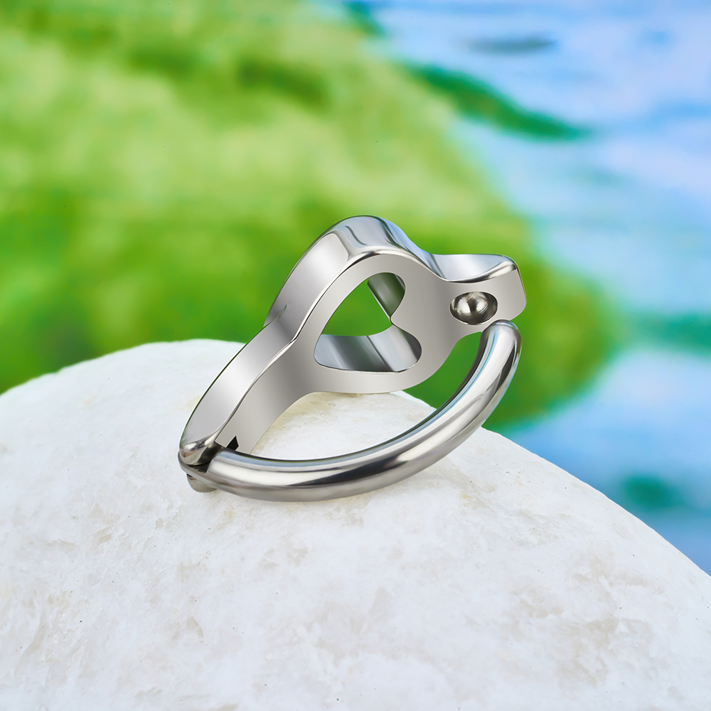 ASTM F136 Titanium 14G/16G Bel - đánh giá và giá Curved Spring Bar