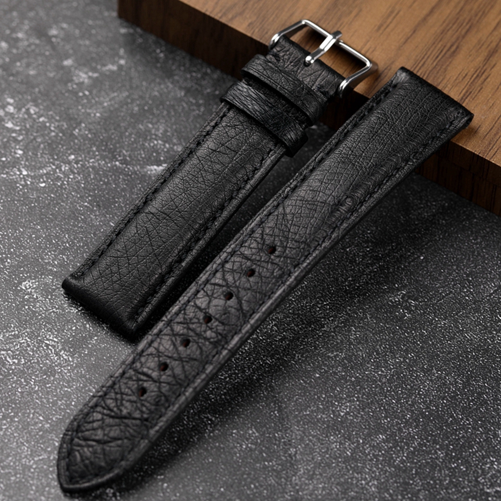 Handmade South African Ostrich - đánh giá và giá Nato Strap Nylon